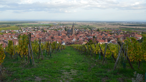 Déménageur Lingolsheim